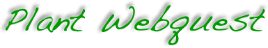 Plant Webquest