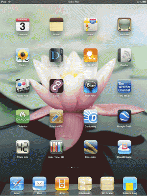 iPad home screen.