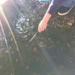 Testing creek water with a probe.