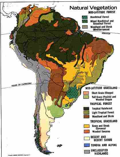 S. Am Natural Vegetation
