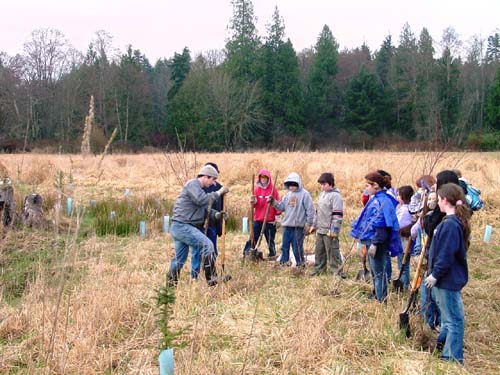 Learning how to plant the trees.