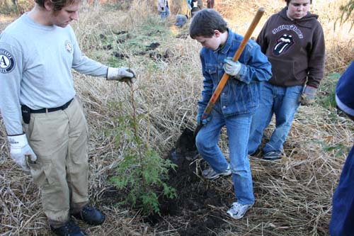 Digging the holes for planting.