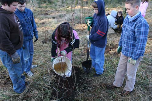 Watering the freshly planted trees.