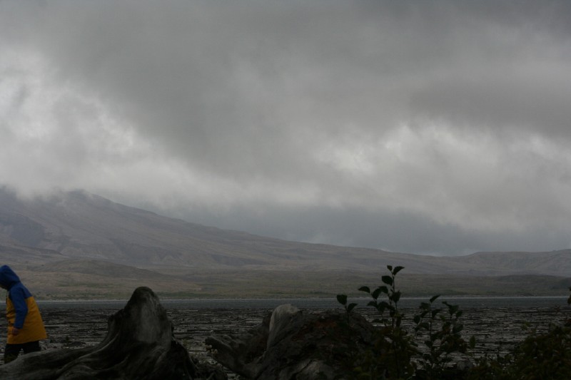 View of MSH from Spirit Lake.