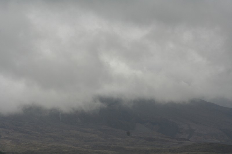 Close-up from Spirit Lake.