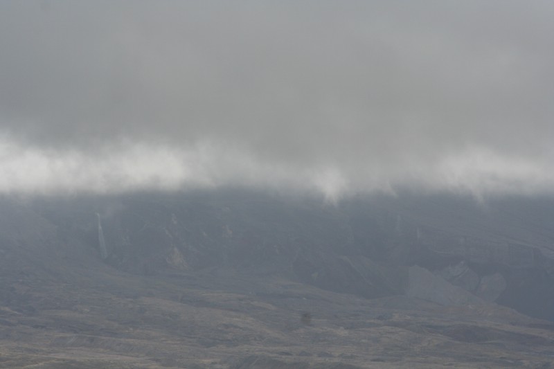 Close-up from Spirit Lake.