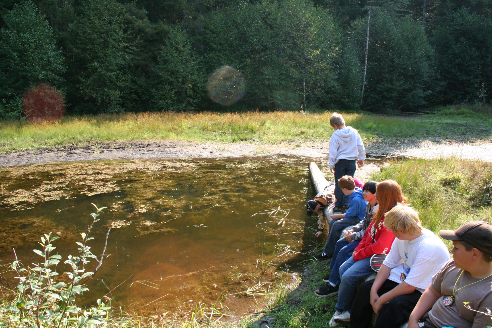 Pond 2008