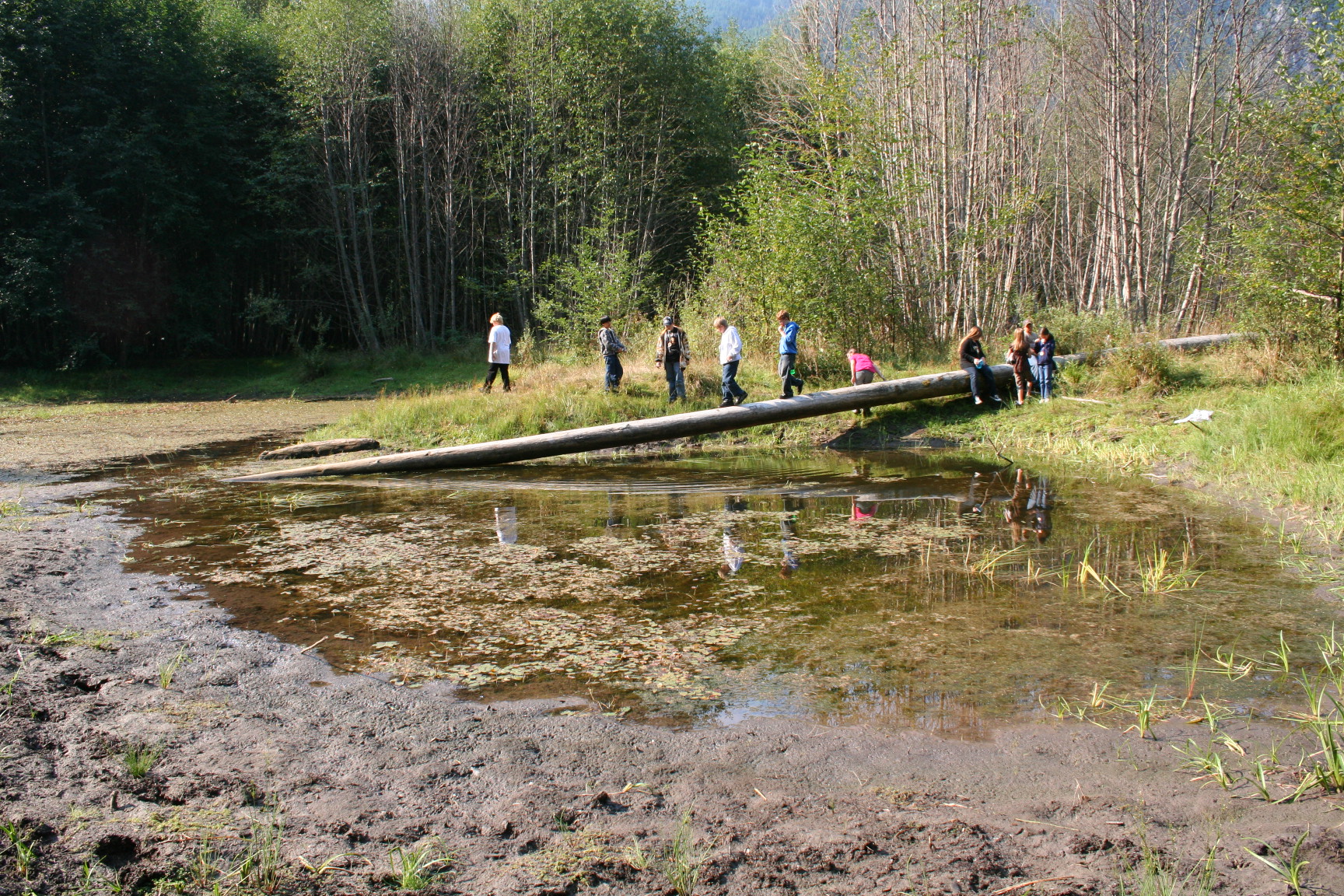 Pond 2008