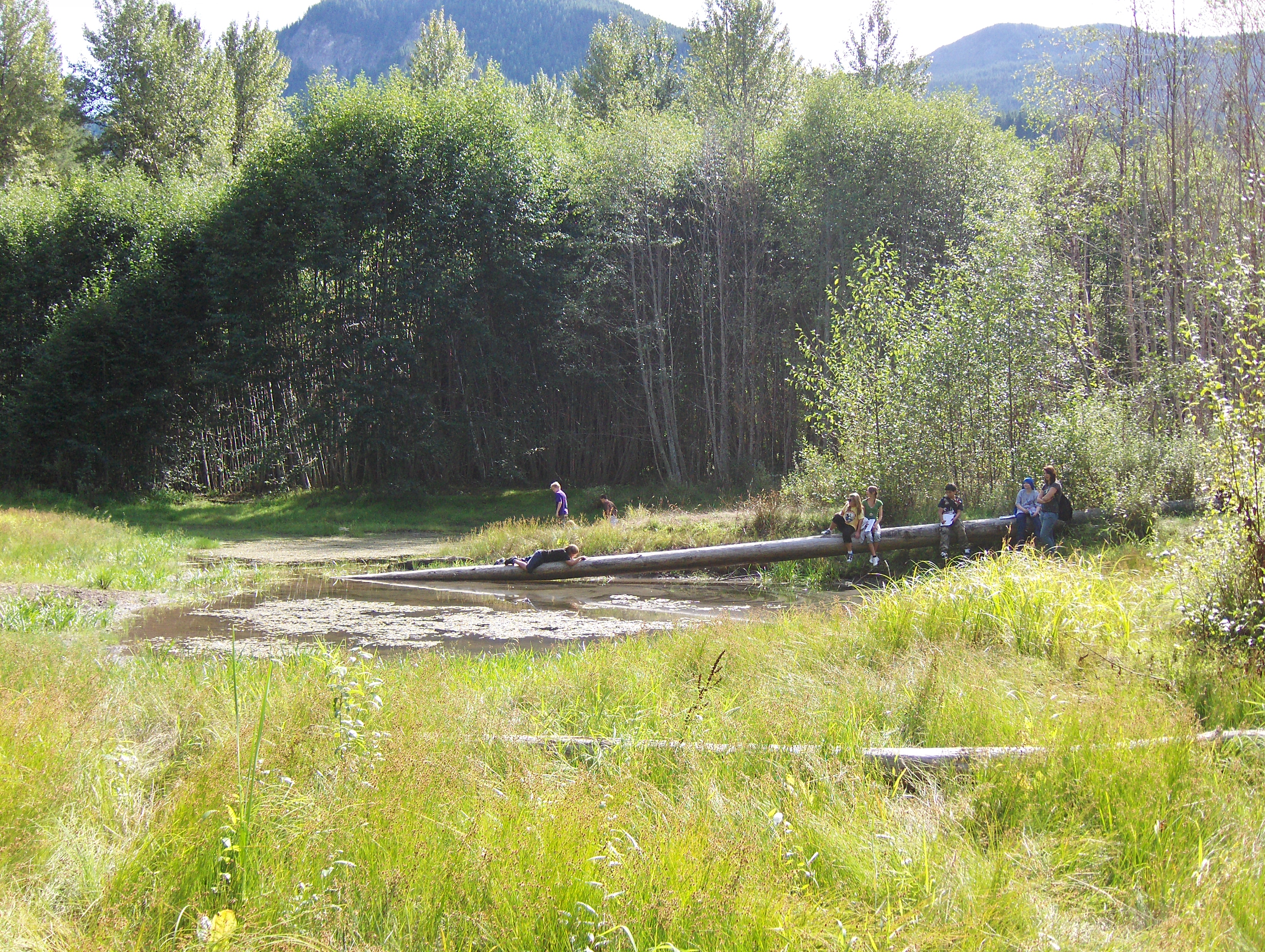 Pond 2009