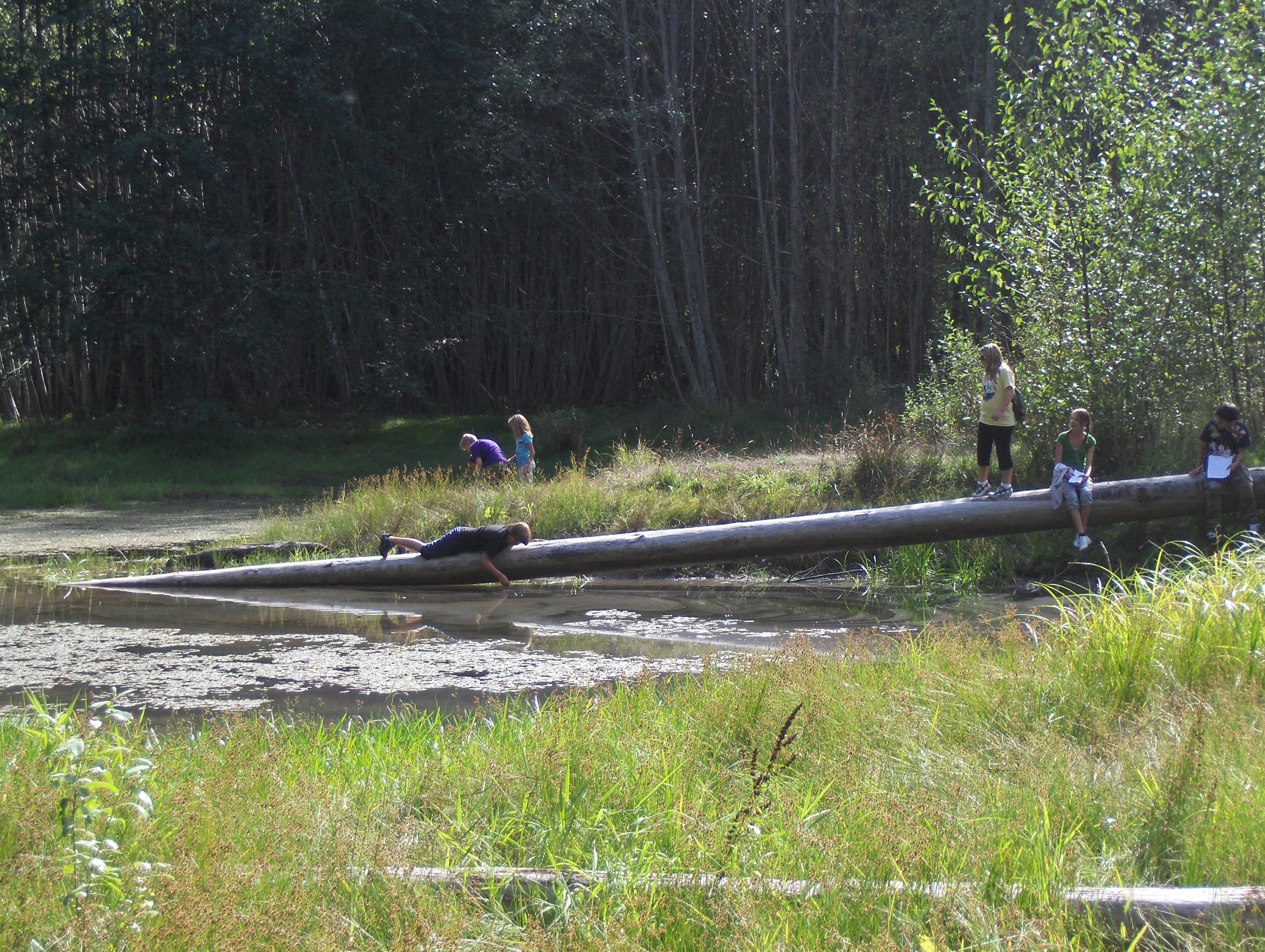 Pond 2009