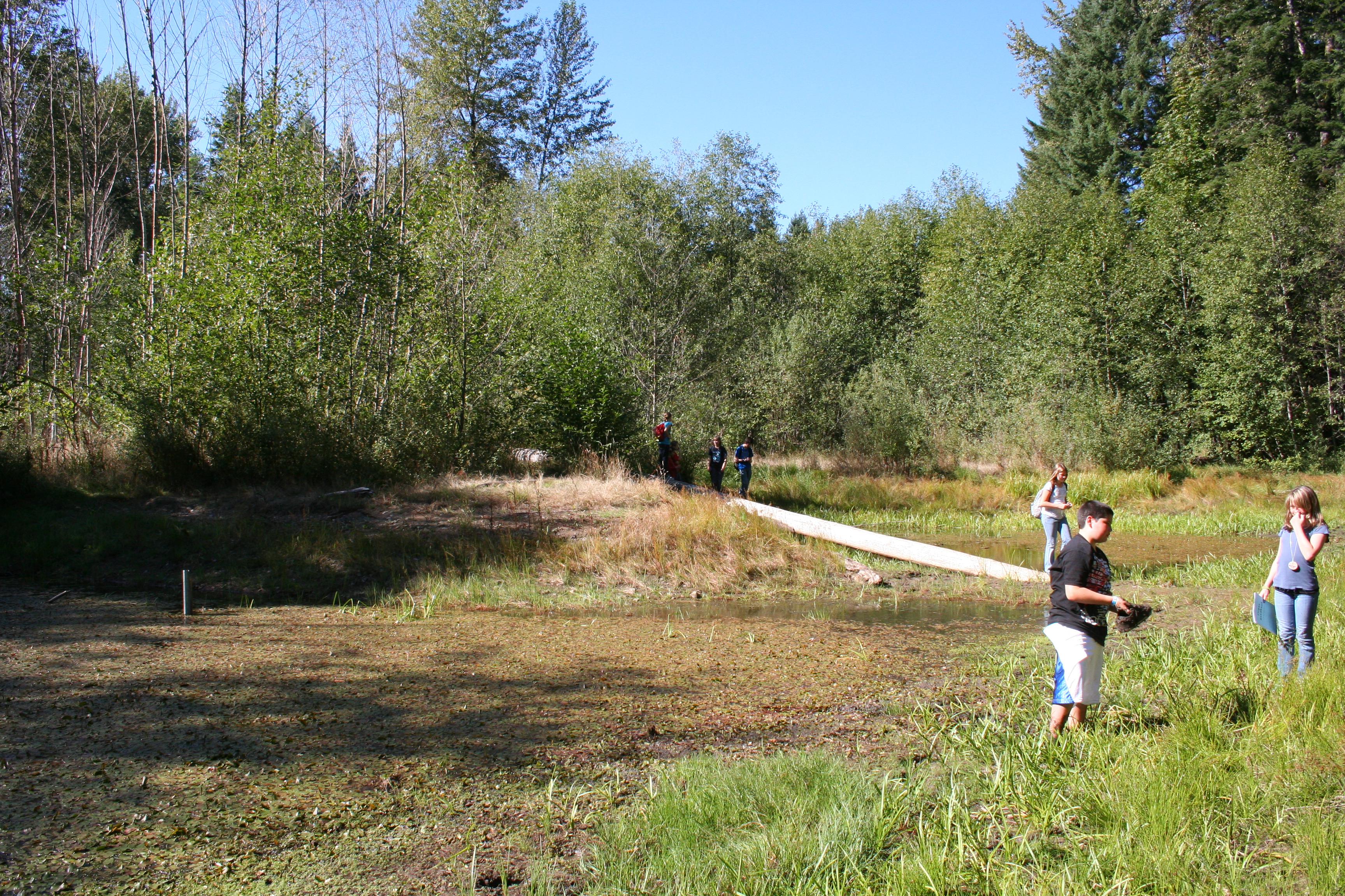 Pond 2010